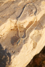Crab Claw