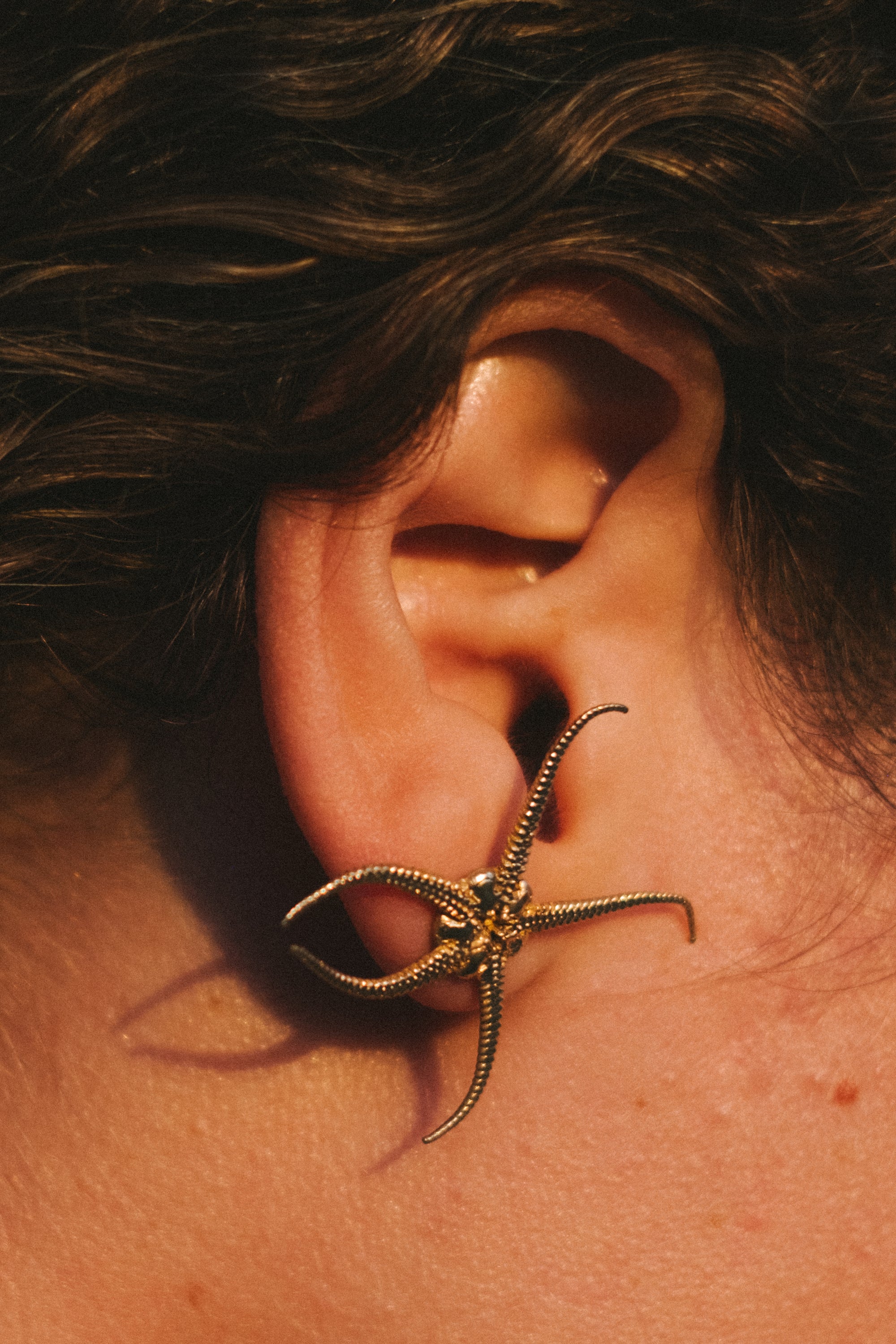 Brittle Star