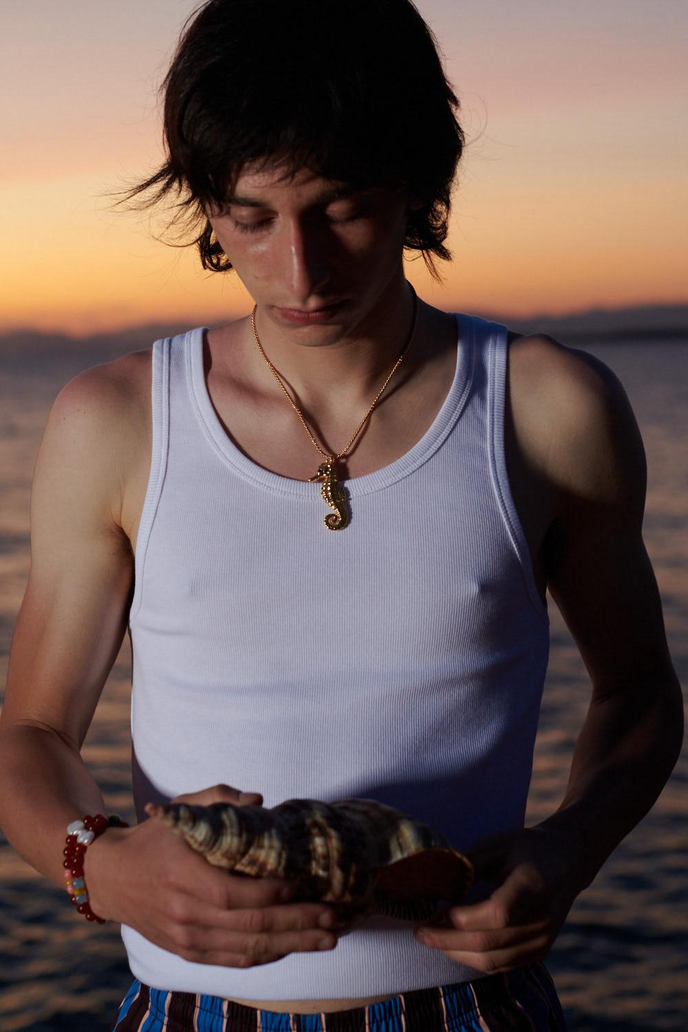 Seahorse