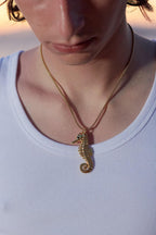 Seahorse