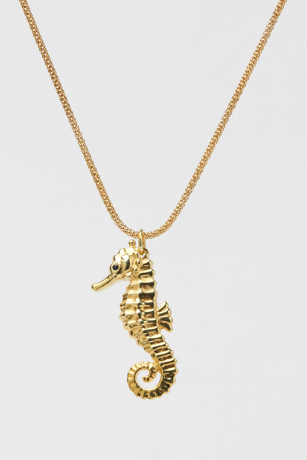 Seahorse