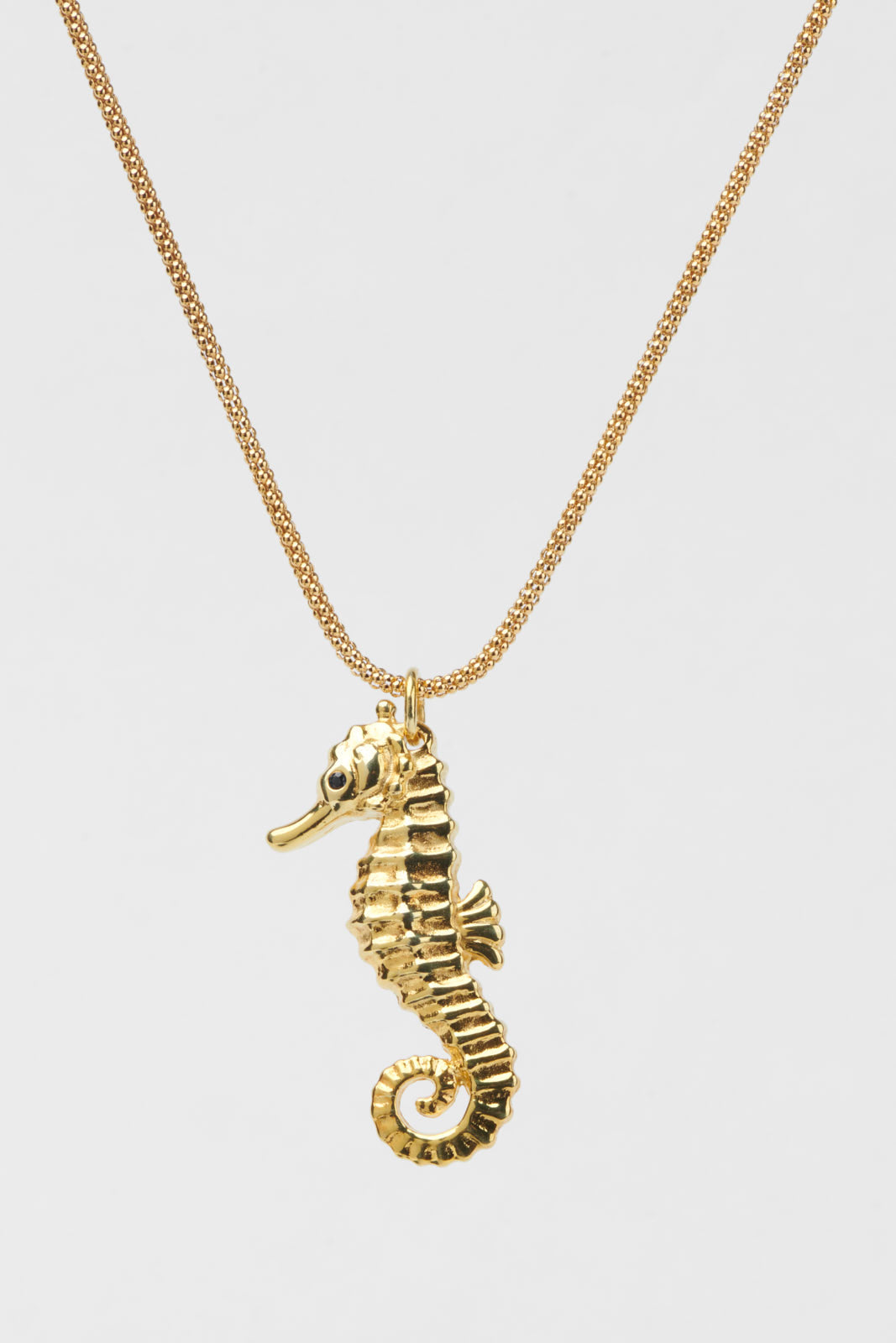 Seahorse