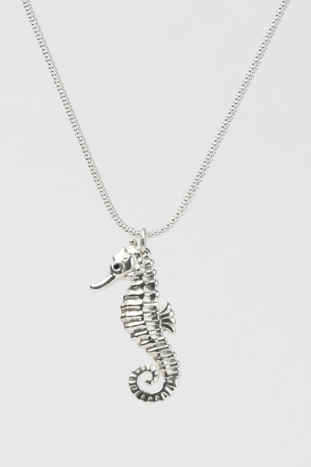 Seahorse