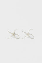 Brittle Star
