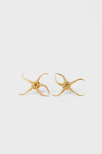 Brittle Star