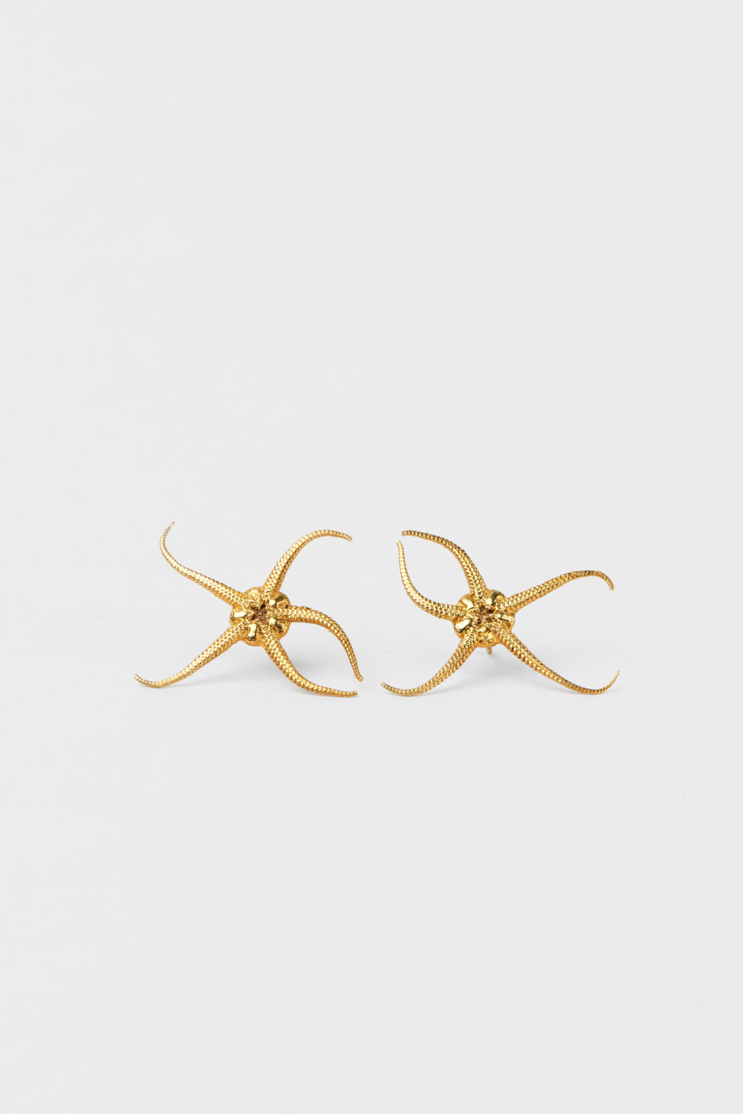 Brittle Star